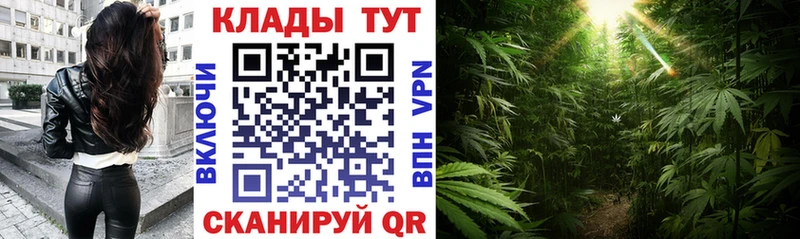 Купить закладку Галлюциногенные грибы Марихуана Alpha-PVP Мефедрон ГАШ Родники