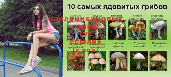 экстази Волоколамск