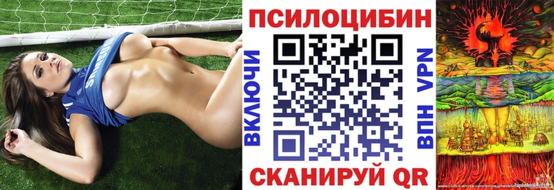 Купить где  Родники  Псилоцибиновые грибы Cubensis 
